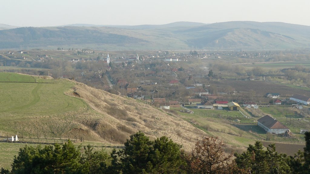 Proiect integrat în comuna Bogata, judeţul Mureş