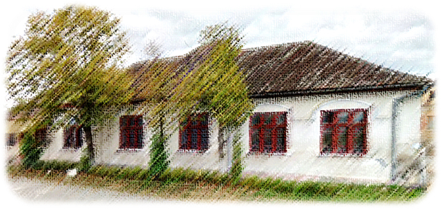 Reabilitare Cămin Cultural în localitatea Soard, Comuna Vânători, Judeţul Mureş