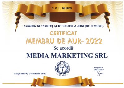 DIPL 2022 EXCEL